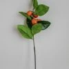 Park Hill Collection Kumquat Stem 15" Home Decor