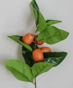 Park Hill Collection Kumquat Stem 15" Home Decor