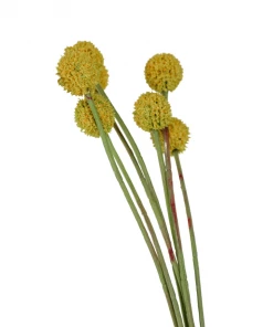 Allstate Home Decor Billy Button Spray