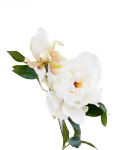 Allstate Peony Spray In Cream Home Decor