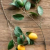 Park Hill Home Decor Citrus Branch