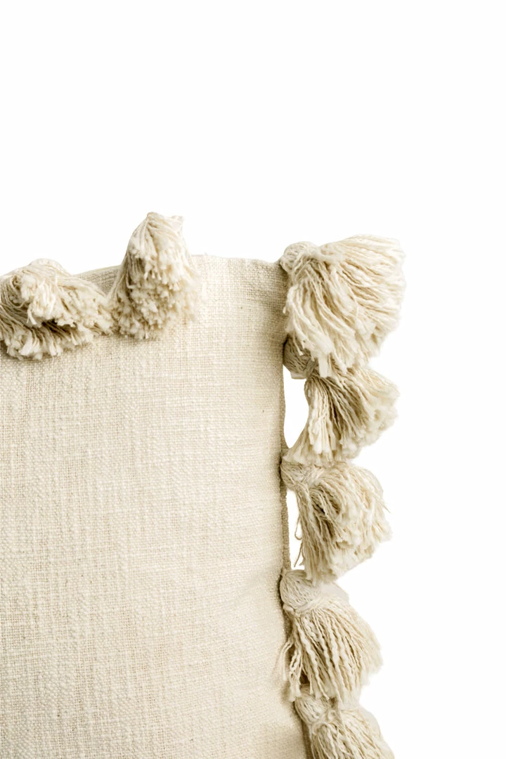 Creative Co-op Home Decor Celia Tassel Pillow