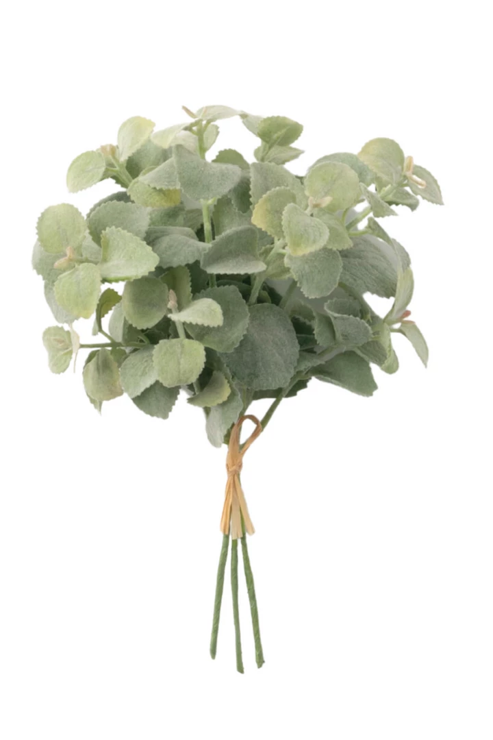 Sullivans Basil Bundle Home Decor