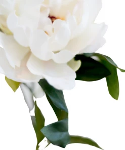 Allstate Peony Spray In Cream Home Decor