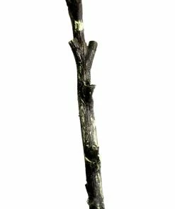 Allstate Home Decor Myrtle Stem With Berries