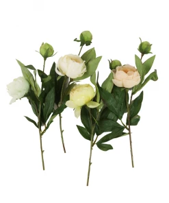 Simon & Schuster Locomotive Books