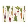 Hester & Cook Kitchen Natural Farmers' Market Placemats