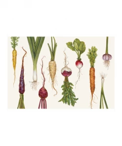 Hester & Cook Kitchen Natural Farmers' Market Placemats