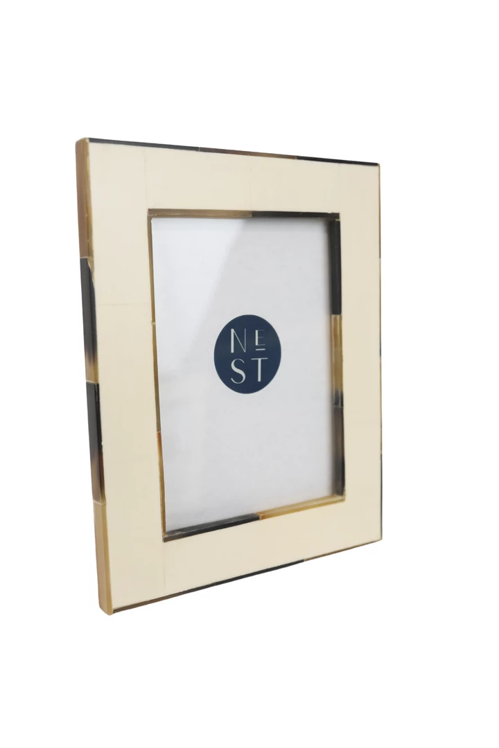 Two's Company Horn Trimmed Frames Home Decor