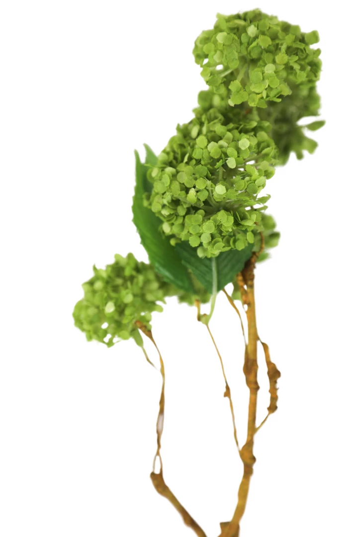 Sullivans Green Snowball Hydrangea Spray