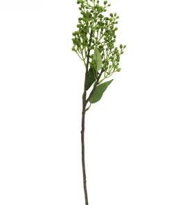 Sullivans Green Berry Stems