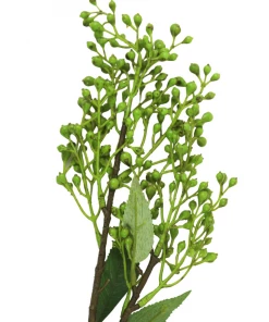 Sullivans Green Berry Stems