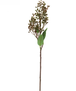 Sullivans Green Berry Stems