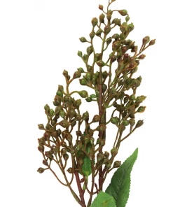 Sullivans Green Berry Stems