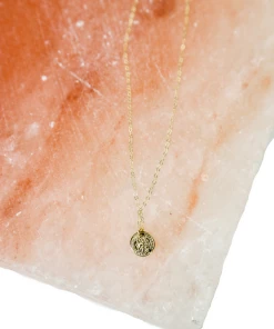 Katie Waltman Jewelry Gold Digger Double Disc Necklace Accessories