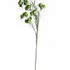 Sullivans Home Decor Green Pod Stem