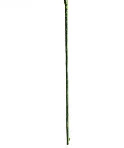 Sullivans Home Decor Green Pod Stem