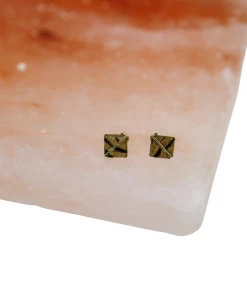 Fashion City San Diego Animal Print Studs