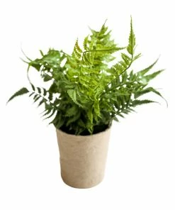 Creative Co-op Paper Pot Fern