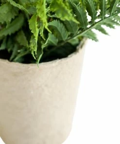 Creative Co-op Paper Pot Fern