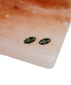 Fashion City San Diego Animal Print Studs