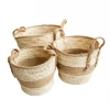Sullivans Home Decor Tan Shore Baskets