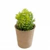 Creative Co-op Jordyn Succulent In Paper Pot Home Decor