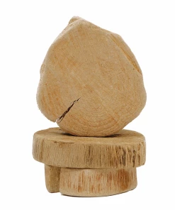 Creative Co-op Natural Wood Slab