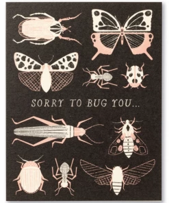 Compendium GIFT Thank You Cards