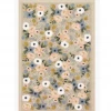 Loloi Home Decor Colette Grey Rug