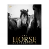 Penguin Random House The Horse Encyclopedia Home Decor
