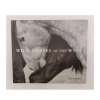 Gibbs Smith Publisher Wild Horses Of The West