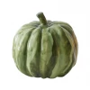 Accent Decor Home Decor Thanksgiving Pumpkins